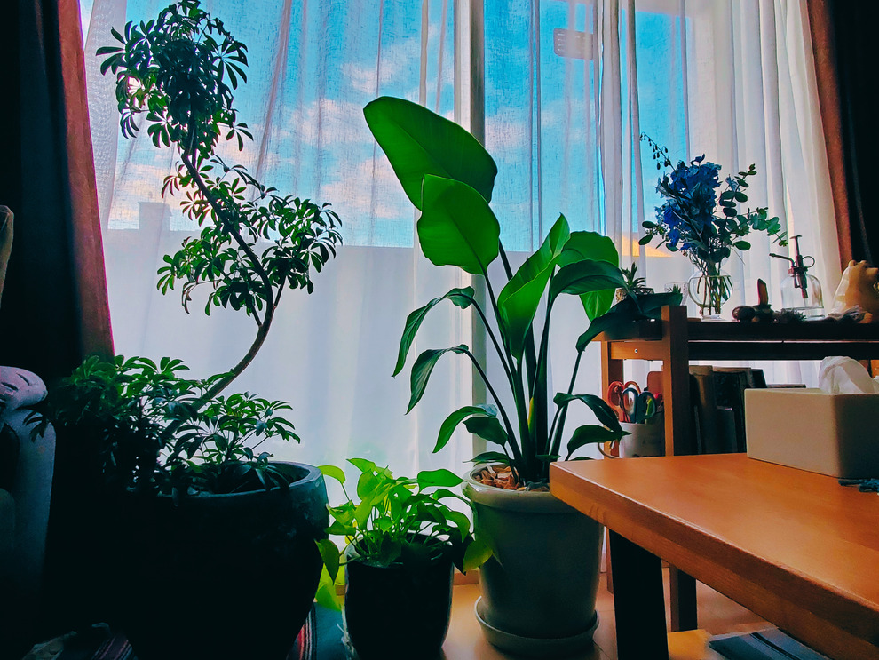 3e71f8d03d41c62df28935df2fe1f9