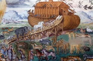 ノアの方舟？