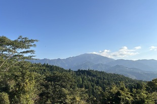 こんな仕事をしています