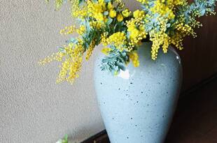 効果の低い医療