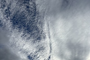 これからの目標！